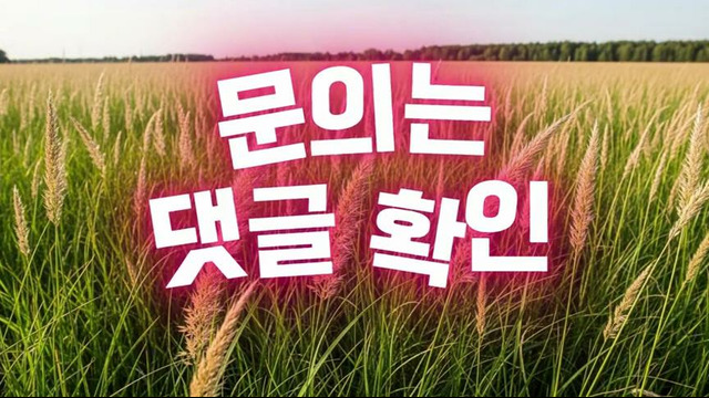 [상품권현금화] 업체 분들 언제든 연락주세요 vv