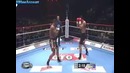 Alistair-overeem-vs-badr-hari-k1-2009-final