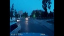 Гулистанские бараны