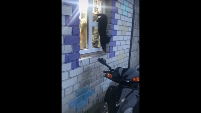 Атас! Тикаем с дому