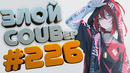 Злой best coub forever #226