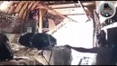 Су-30 в Сирии
