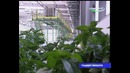 Шавкат Мирзиёев в Ташкентской области