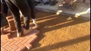 Быстрые работники Высший уровень