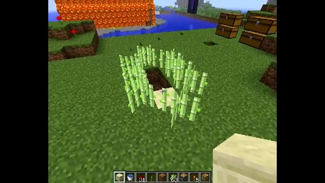 Тростниковая ферма