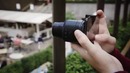 The Verge: Sony QX10 and QX100 review