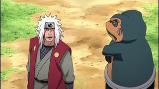 Naruto Shippuuden – 409 Серия (480p)