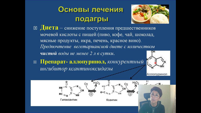 Распад пуриновых нуклеотидов и его регуляция