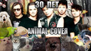 Сектор Газа – 30 лет (Animal Cover)