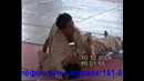 Dento Fudokan karate Do Соревнования 10,12,2006