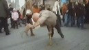 Самые талантливые люди на свете – HD