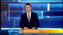 Анастасия Волочкова в истерике от шимпанзе