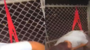 Неловкие И Нелепые Моменты, Которые Попали На Камеру