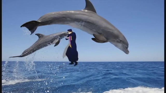 ДжОтаро становится дельфином
