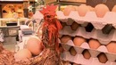 Тур де Франс. 4 серия. Лион