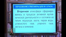 10 класс. Теория биохимической эволюции