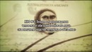 10 мифов об эволюции человека. Часть 2