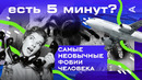 Самые необычные фобии человека | ЕСТЬ 5 МИНУТ