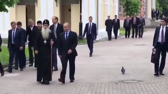 Путин поприветствовал голубя