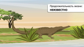 Мир инфографики – Крокодил совершивший более 300 убийств