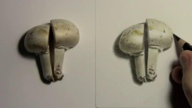 Mark Crilley – Realism Challenge #3 (Mushroom) (для DNA)