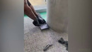 Залипательное Видео От Которого ты Получишь Визуальное Удовольствие