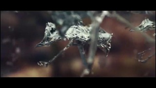 Moonbeam feat. Aelyn – Hero of Hope (Official Video)