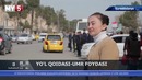Yo’l qoidasi-umr foydasi