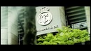 Сборная мира в рекламе от Adidas