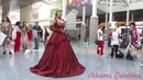 Anime expo 2011 fanvideo