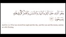 Smysl-zhizni-Samyy-luchshiy-rolik-v-etom-godu-YouTube