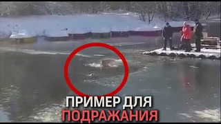 В Крыму мужчина нырнул в ледяную воду ради спасения пса
