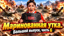 Маринованная утка. Большой выпуск, часть 6