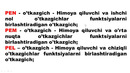 Ma’ruza 13