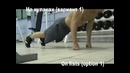 Отжимания для спецназа-Push-ups for special forces
