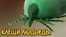 Клещи Людоеды из сериала Секретные Материалы