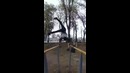 Street workout pro слава пак