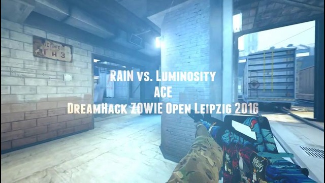 Must See! DreamHack ZOWIE Open Leipzig 2016 rain vs. Luminosity