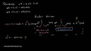 27 Bufer tizimi | Suv, kislotalar va asoslar | Biologiya | Khan Academy Oʻzbek