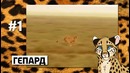 Дай 5 – 10 бешеных рекордов СКОРОСТИ