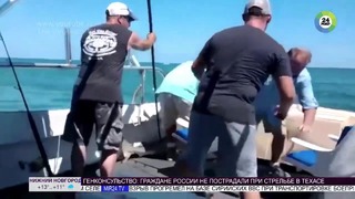 Акула едва не откусила ногу поймавшему ее рыбаку (ВИДЕО)