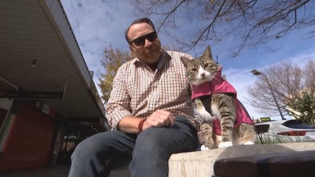 Кошка-терапевт пришла на помощь бывшему пограничнику с психической травмой