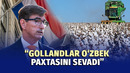 Avval yopiq davlat edingiz, endi qiziqa boshlayapmiz” – Niderlandiya elchisi bilan suhbat