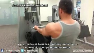 Tmw: тренировка спины