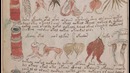 Самая загадочная книга в мире