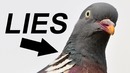 Birds. Aren’t. Real — PewDiePie