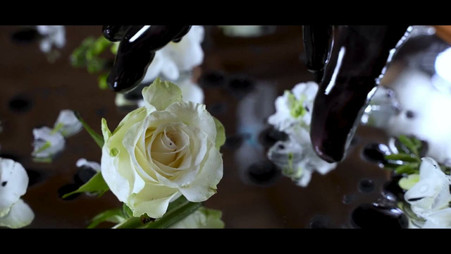 Draconicon – Heresy (Official Music Video 2023)