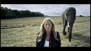 Lissie – Everywhere I Go