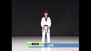 Taekwondo wtf poomse-1
