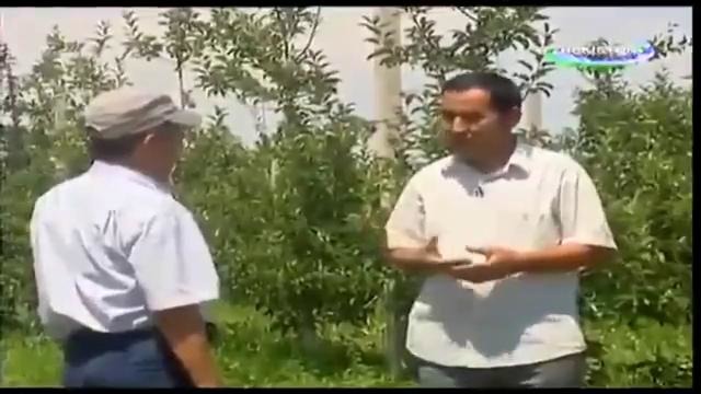 Телепередачи Mening bogim 2